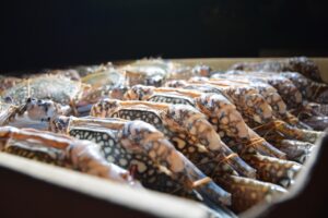 活ガニとかにすき鍋を楽しむための温泉旅館での冷凍蟹回避方法は？