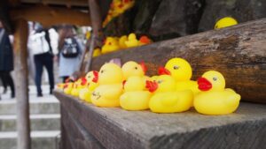 活ガニを使ったかにすき鍋が楽しめる温泉宿はどこ？温泉街での食べ歩きもできる！