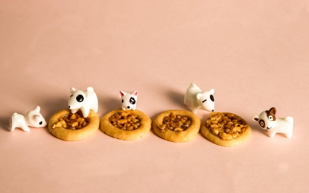 すき鍋の食べ放題はどこが一番お得？比較してみました！